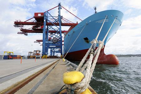 Volume 12 Irish Maritime Transport Economist